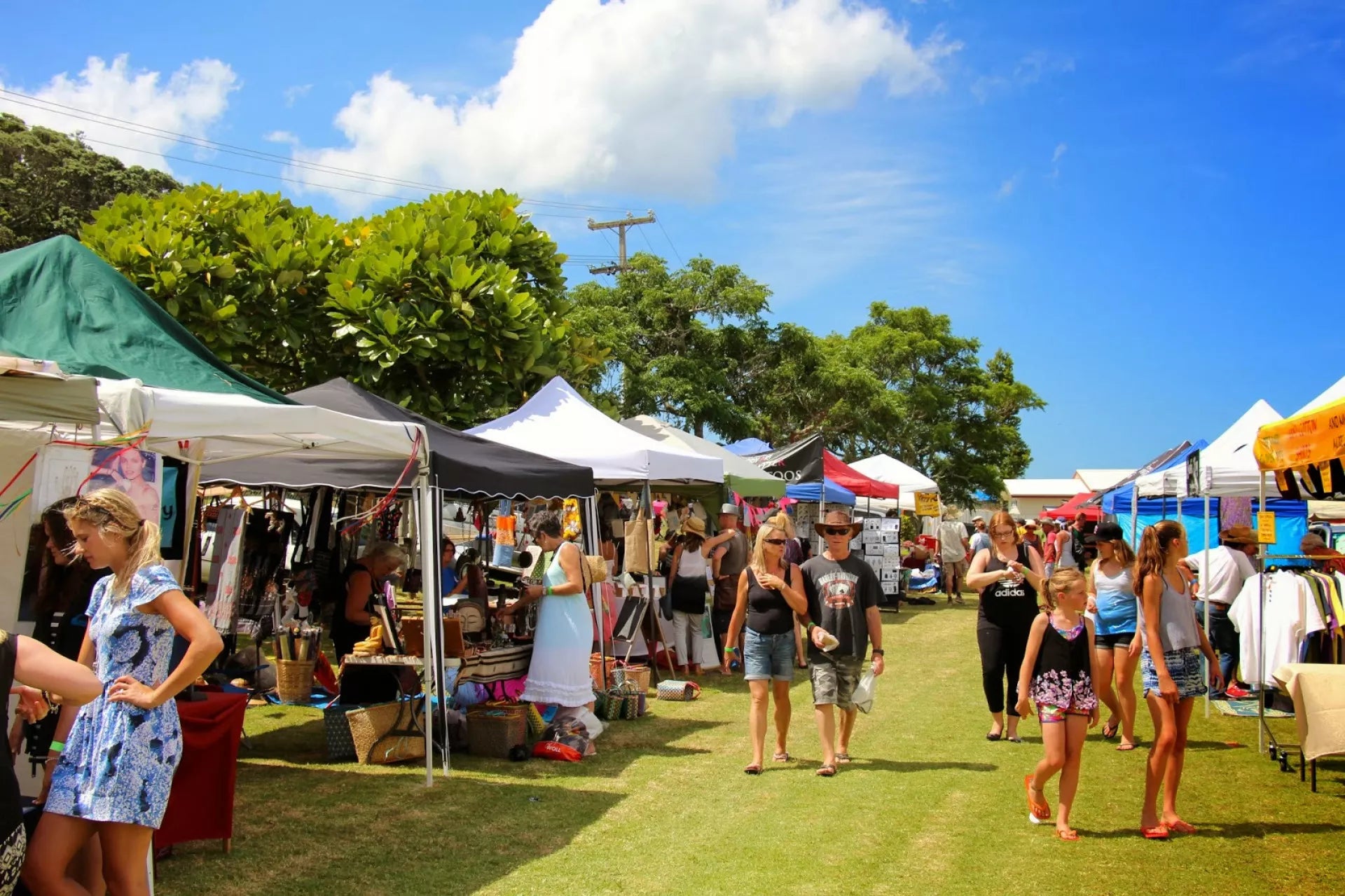 Can I buy a Replacement Canopy if I already have a tent? - American Phoenix